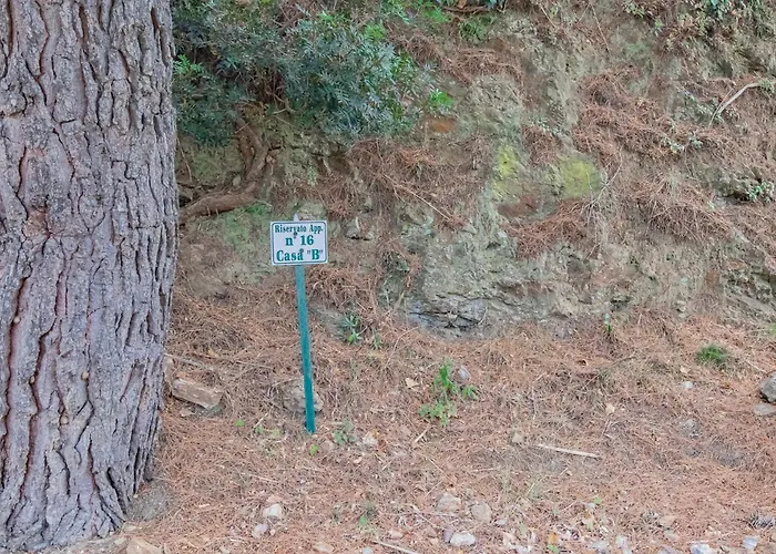 Twin House - Le Lecce Capoliveri